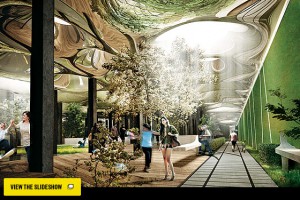 Lowline Concept